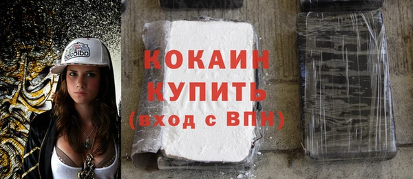 гидра Инсар