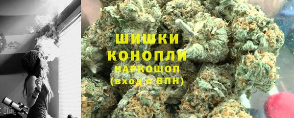 гидра Инсар