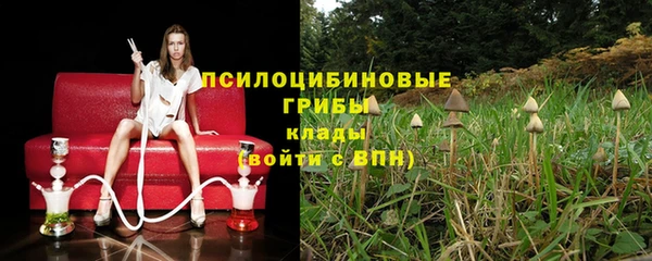 гидра Инсар