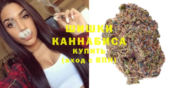 PSILOCYBIN Иннополис