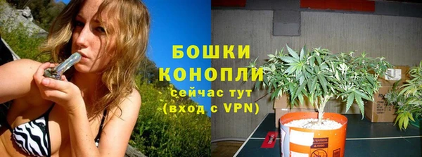 гидра Инсар