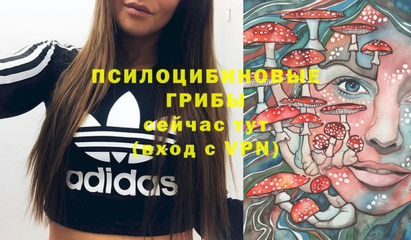 гидра Инсар