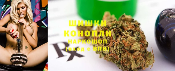 амф Каменка