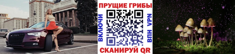 Купить  Гагарин  Псилоцибиновые грибы прущие грибы 