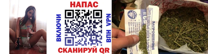 Бошки марихуана SATIVA & INDICA  Купить закладки  Гагарин 